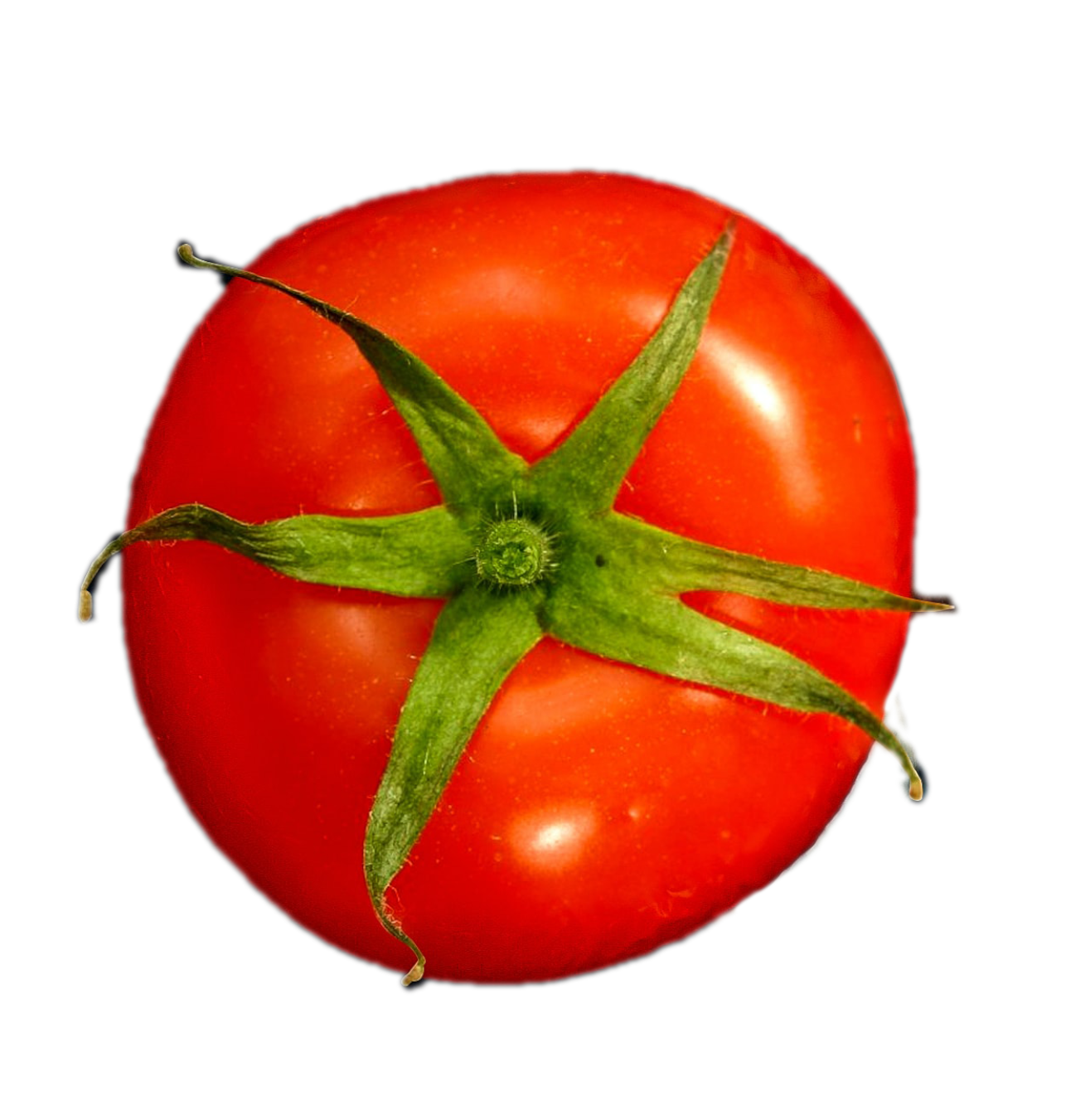 tomato